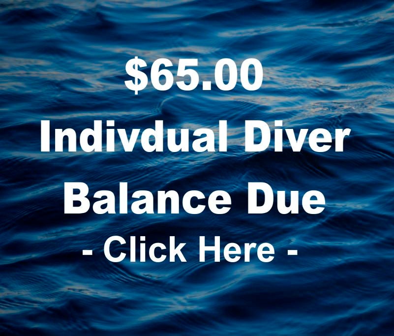 Ultra Dive Texas — photo 4